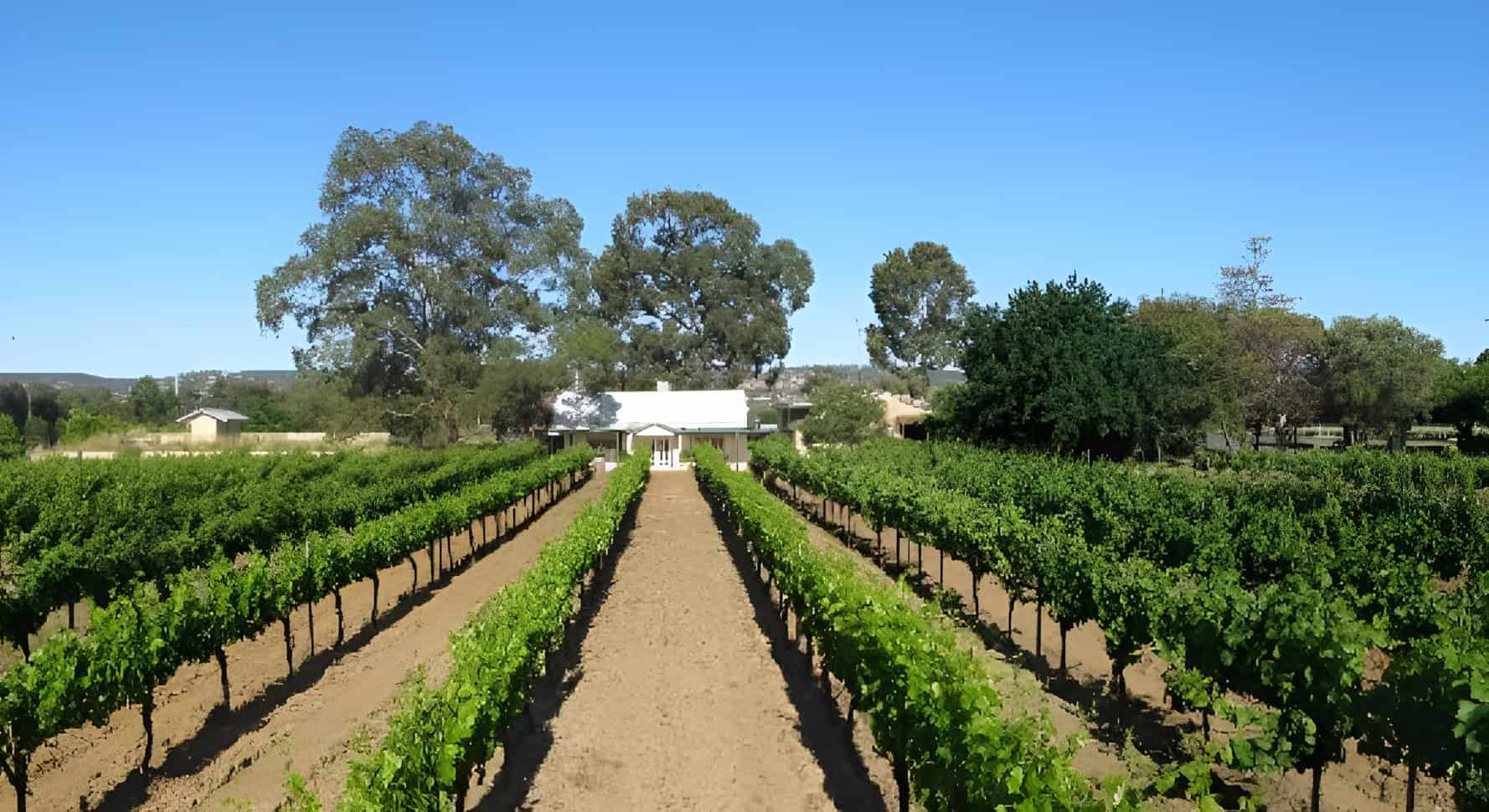 Harris Organic Wines